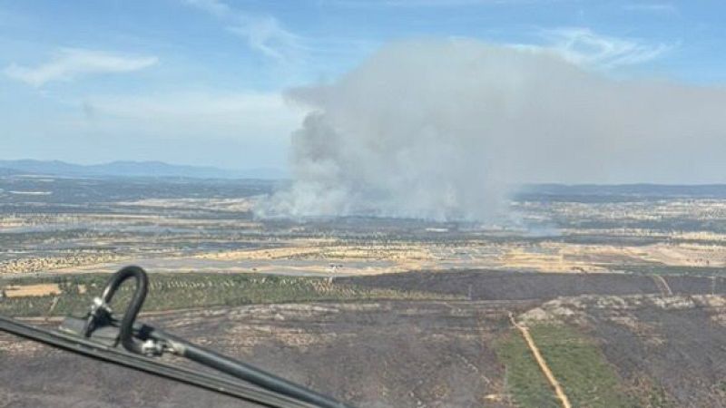 Todo apunta a que el incendio de Valdecaballeros fue provocado | Ver