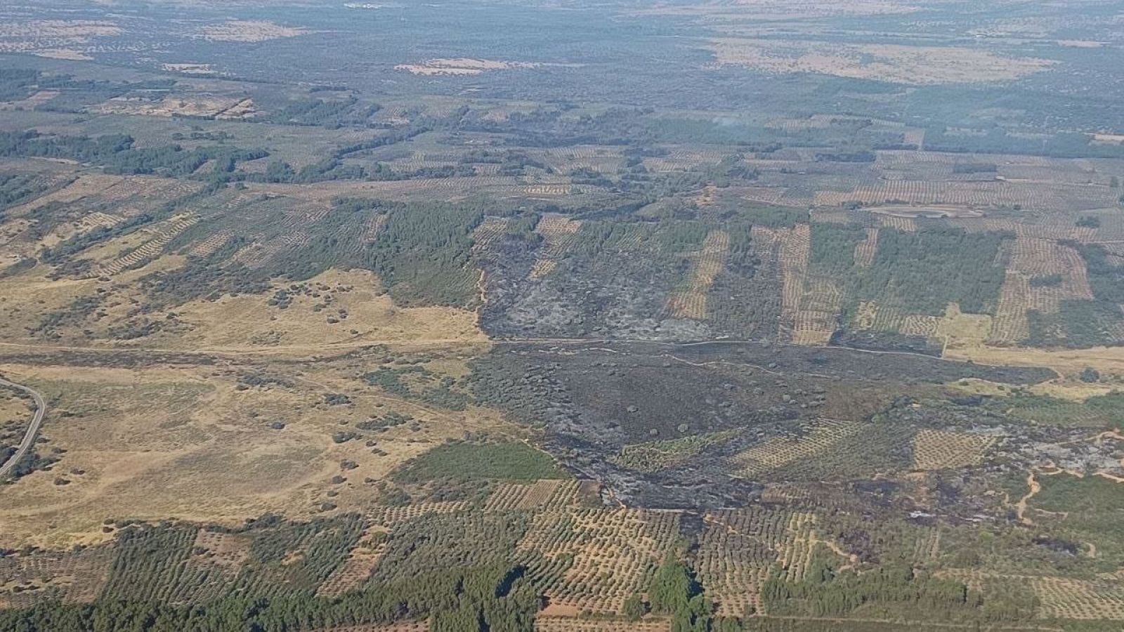 "Ya se respira otro ambiente" ha manifestado la alcaldesa de Valdecaballeros tras la bajada de nivel del incendio de su localidad | Ver