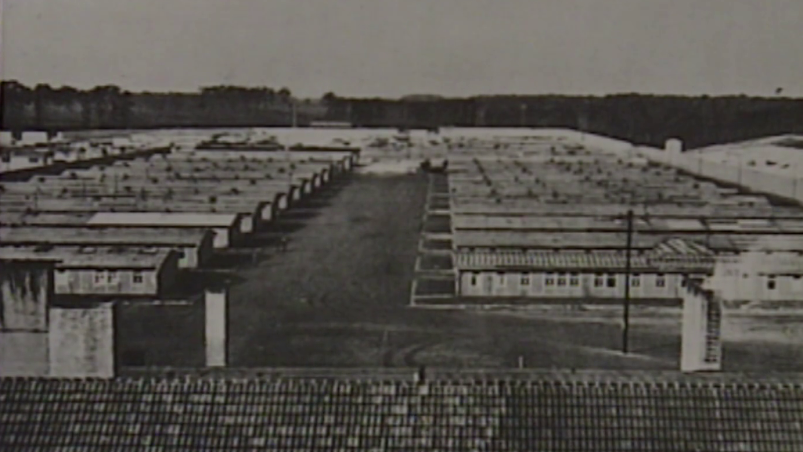 Centenari del naixement de Conxita Grangé - Arxiu TVE | Veure