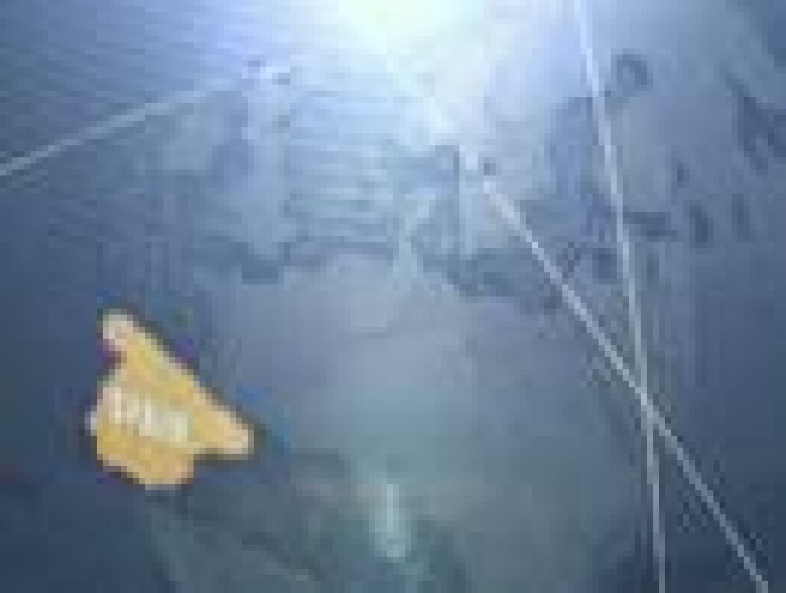 Mundial de Balonmano - Grupo B: Chile - Catar