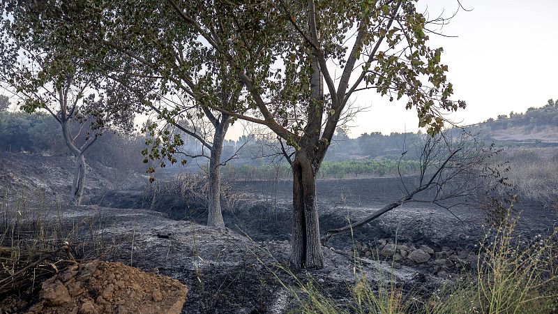 Mejora la situación de los incendios declarados en España