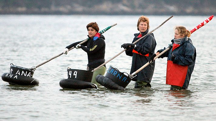 Telediario 1 - El riesgo de infecciones en el aparato urinario y genital se dispara entre las mariscadoras