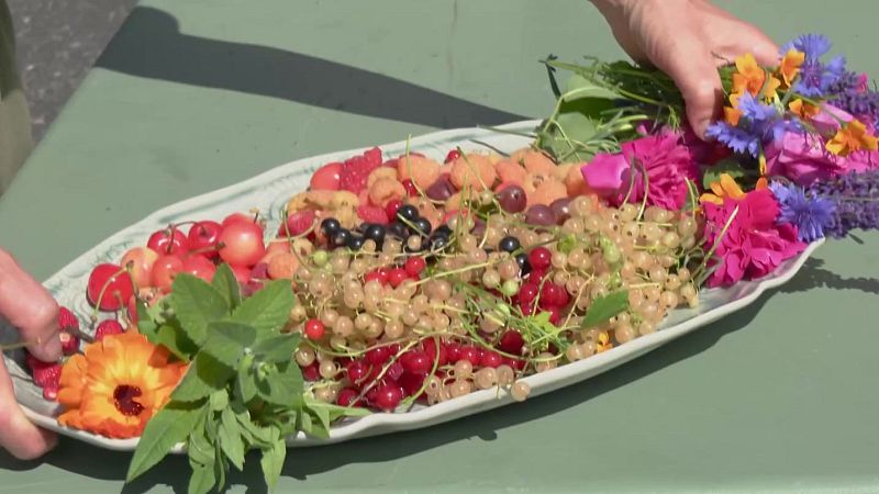 La cara afrutada de Noruega | Ver