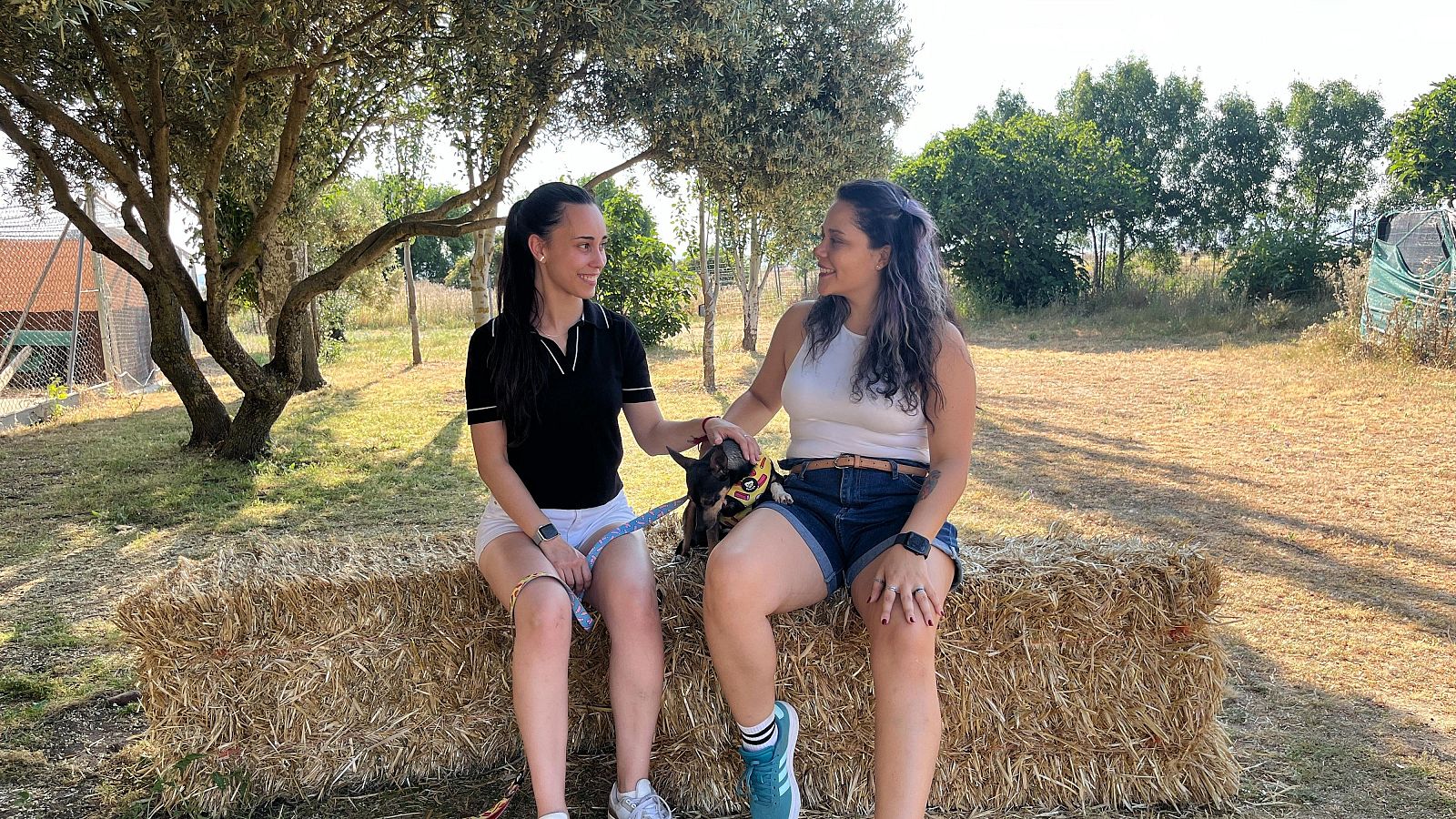 Dog House: Tania y Francis conocen a Tina - Dog House | Ver