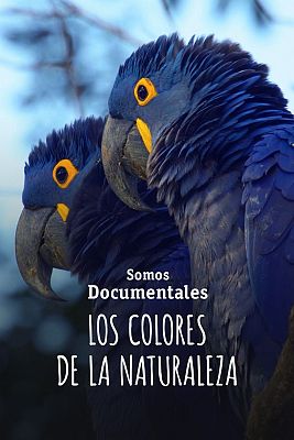 Los colores de la naturaleza