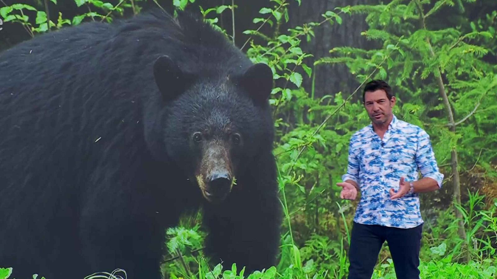 Aquí la Tierra - 22/07/25 - Aquí la Tierra | Ver