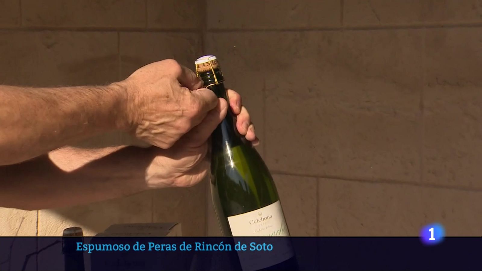 Informativo Telerioja 2 - 23-07-2025 - Informativo Telerioja | Ver