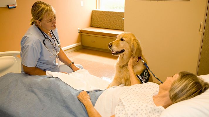 La tarde en 24h - Los perros visitan a sus dueños ingresados en el hospital de Txagorritxu, en Vitoria