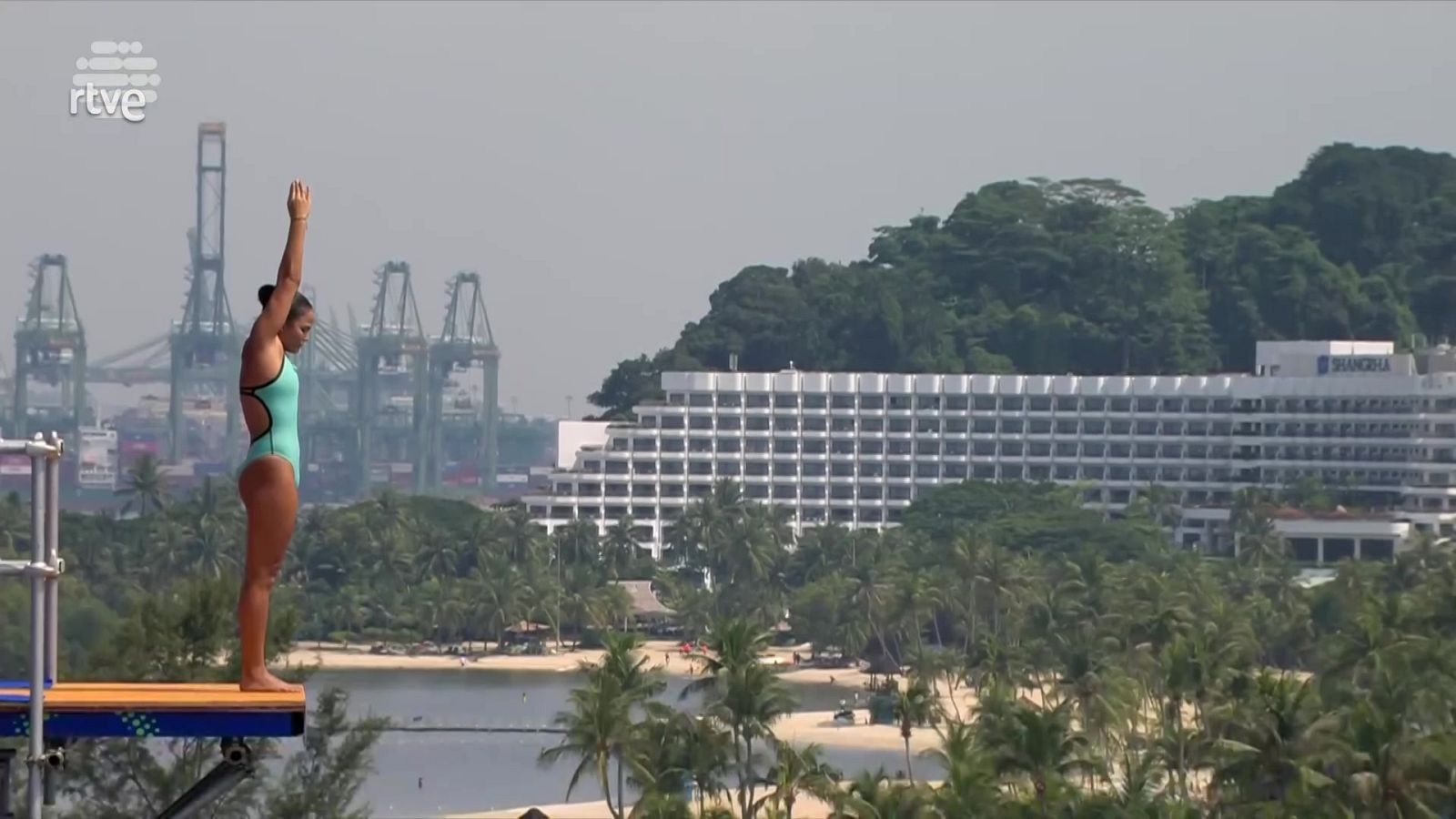 Natación High Diving - Campeonato del Mundo. 20m Femeninos 1ª y 2ª ronda - Natación | Ver