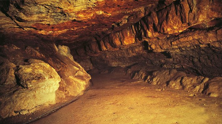 Telediario 1 - La cueva de Altamira se convierte en una paciente crónica en peligro