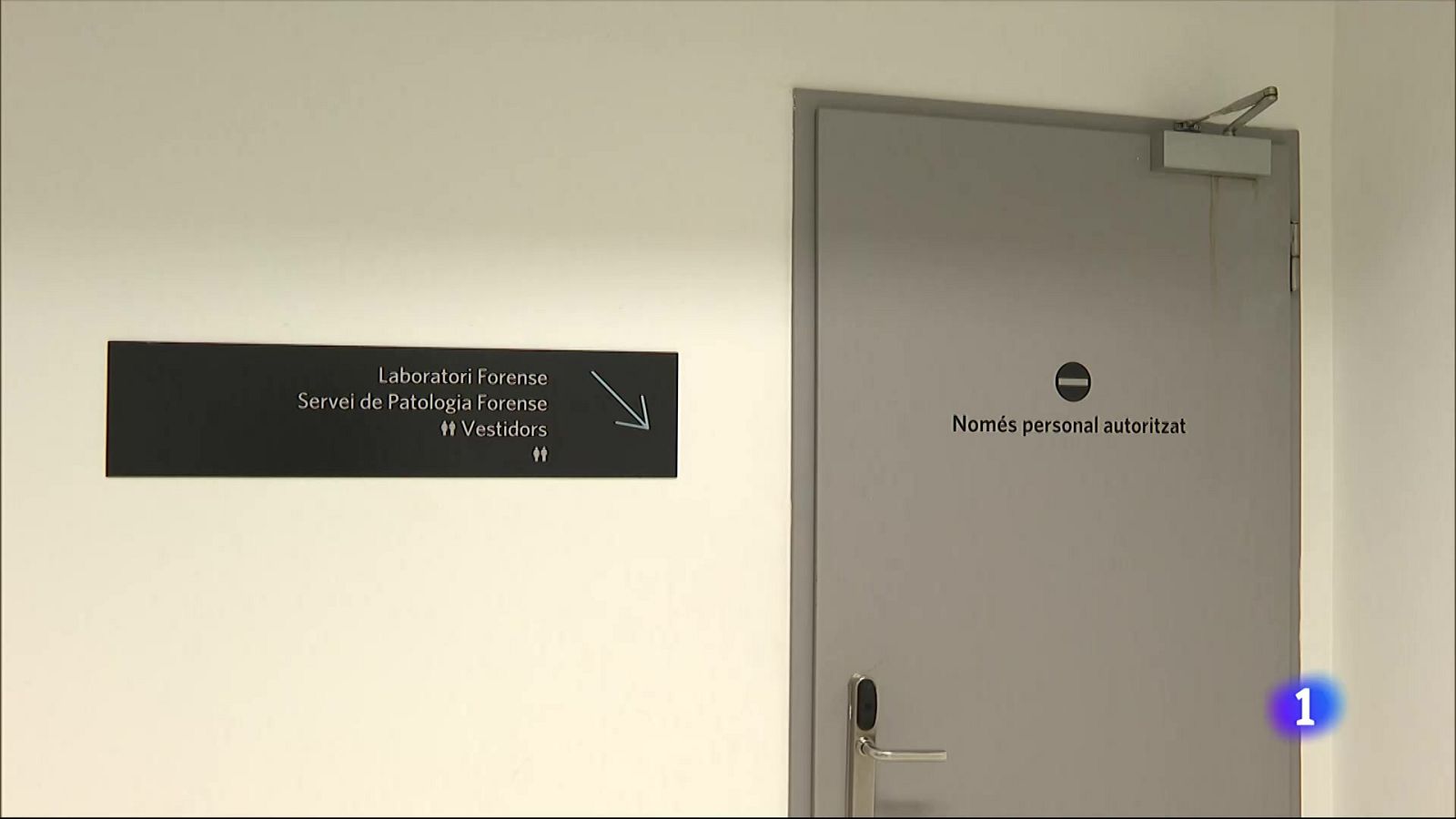 Sis mesos del servei de guàrdia de violències sexuals de l'Institut de Medicina Legal