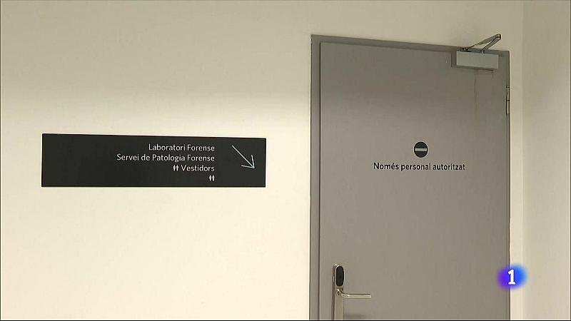Sis mesos del servei de guàrdia de violències sexuals de l'Institut de Medicina Legal