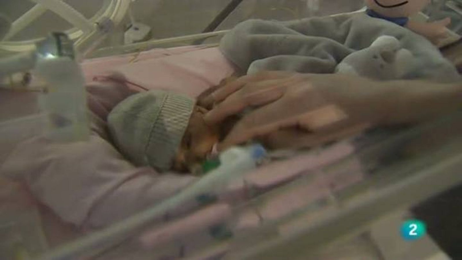 A Catalunya, gairebé el 10% dels nens neixen prematurament