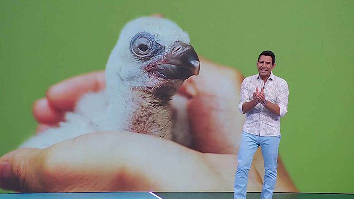 Aquí la Tierra - Aquí la Tierra - 24/07/25