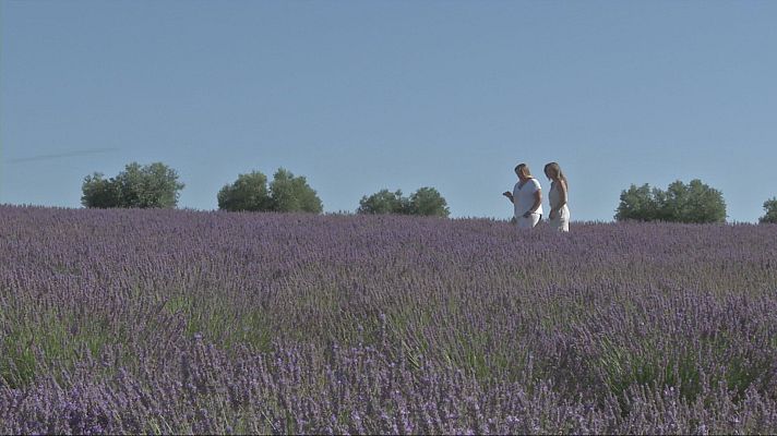 Agrosfera - Agrosfera - 26/07/25