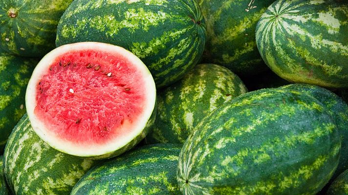 Telediario Fin de Semana - Es tiempo de melón, sandía y fruta de hueso y en muchos campos de España están en plena recolección