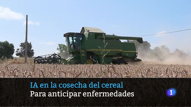 Telerioja en 2´- 28-07-2025 | Ver