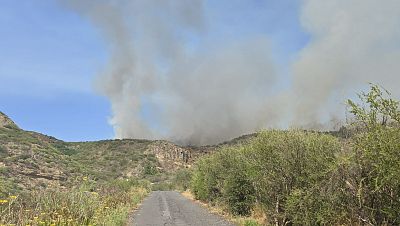 Un incendio en Tenerife obliga a desalojar a medio centenar de viviendas | Ver