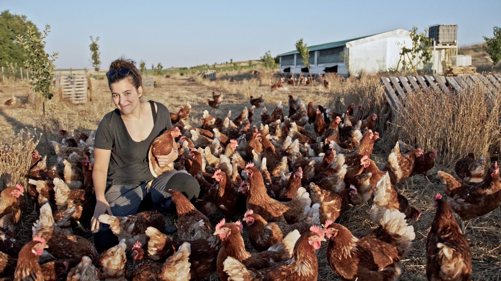 Vuelvo a empezar - Moscoso, Fanzara y Campillo de Aranda | Ver