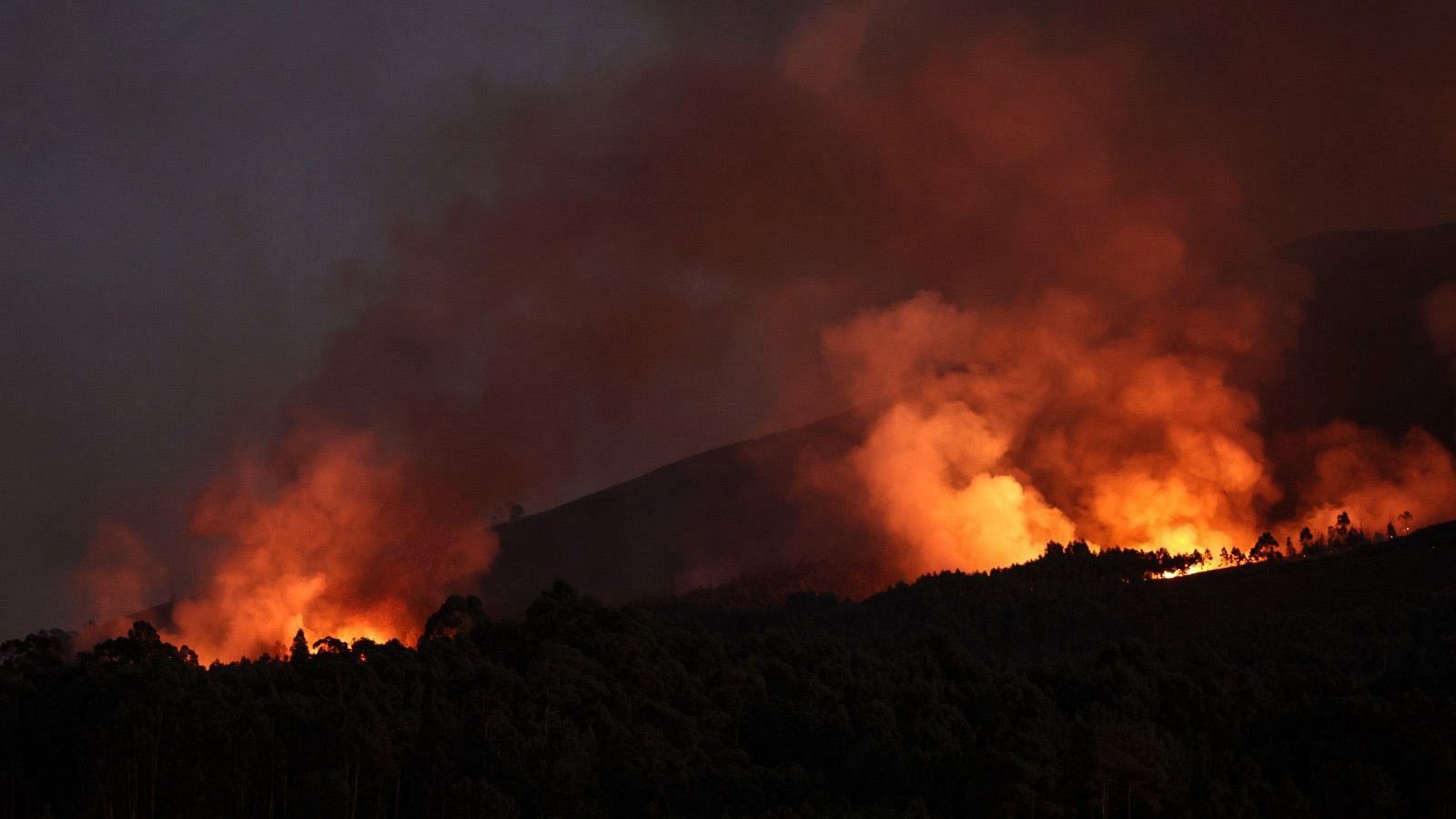 "El fuego nos ha vuelto a sacudir" - La hora de La 1 | Ver