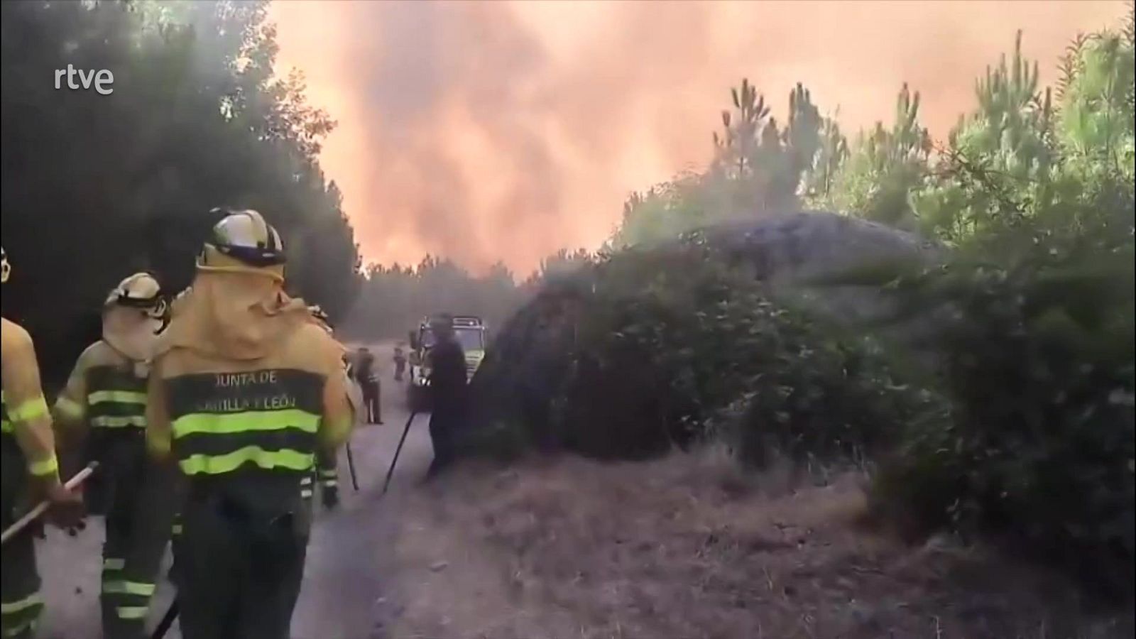 Diario 24 - 29/07/25 - Diario 24 | Ver