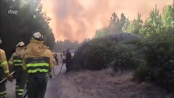 Diario 24 - Diario 24 - 29/07/25