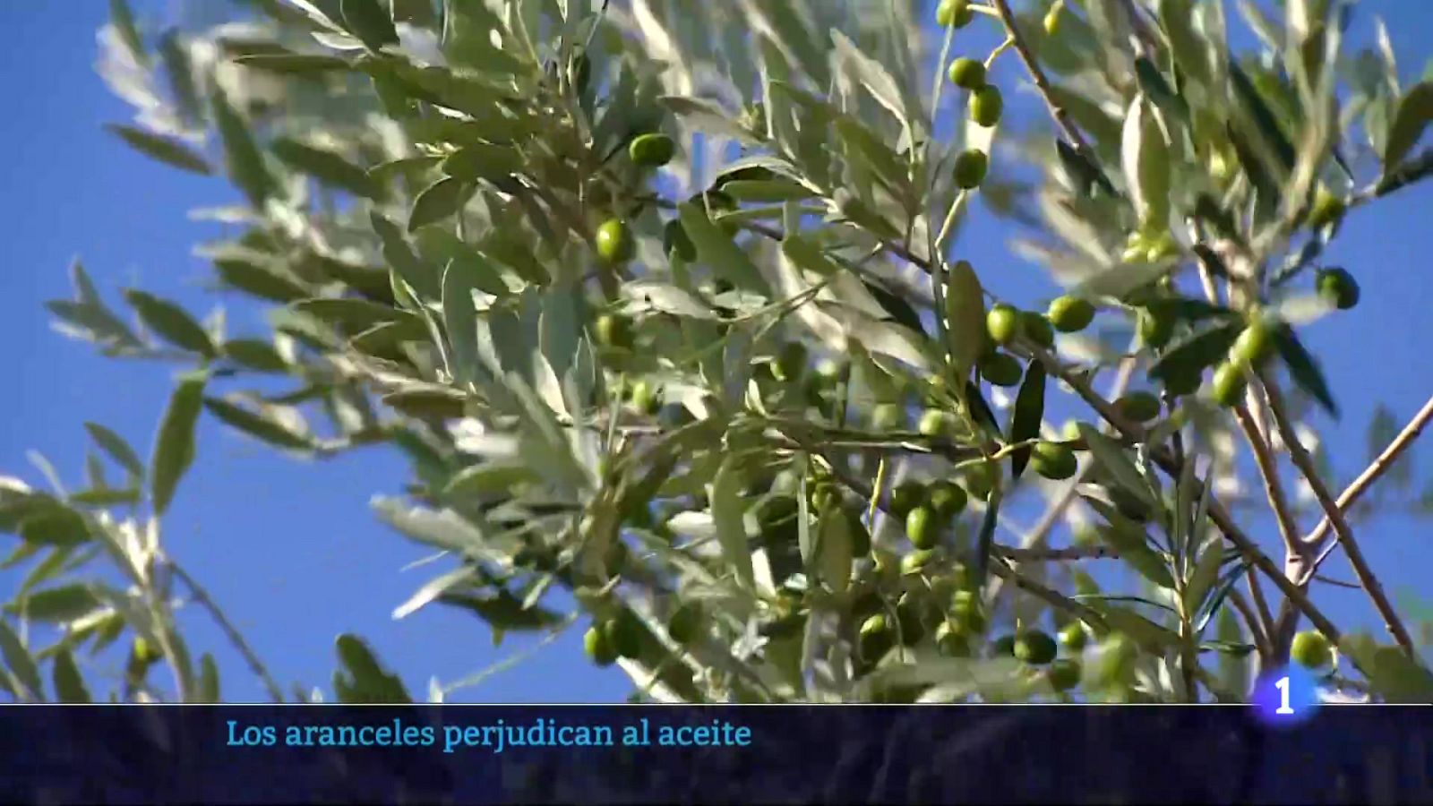 Informativo Telerioja 29-07-2025 | Ver