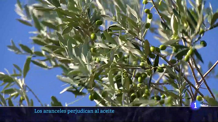 Informativo Telerioja - Informativo Telerioja 29-07-2025