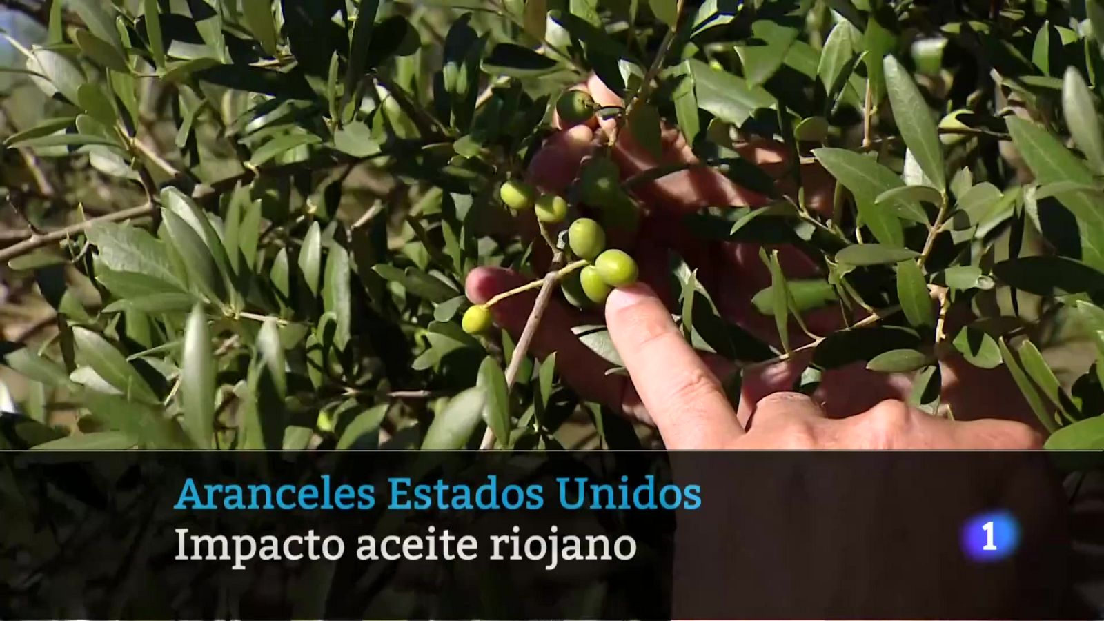 Telerioja en 2 - 29-07-2025 | Ver