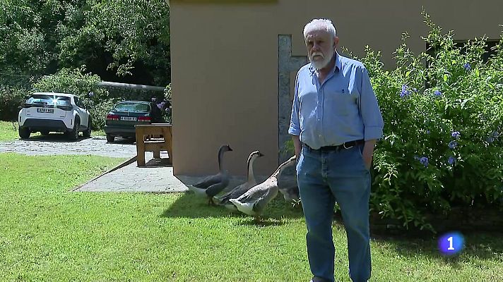 Panorama Regional - Panorama Regional 2 - 29/07/25