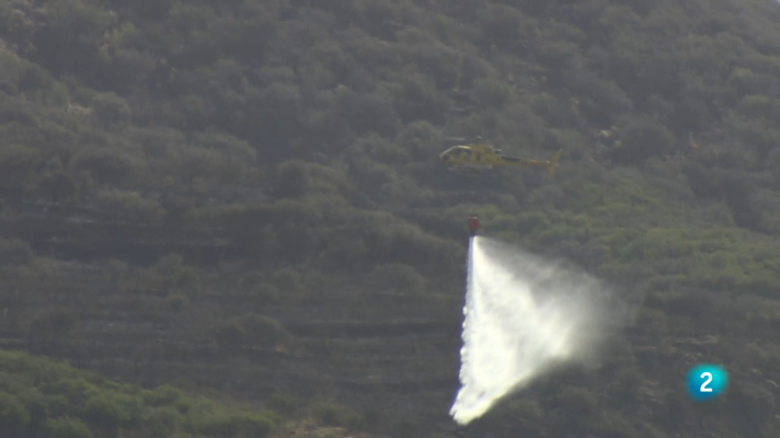 Telecanarias - Telecanarias 2 - 29-07-2025