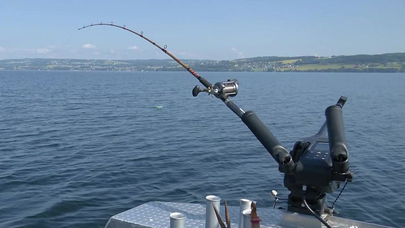 Pescando en Noruega | Ver