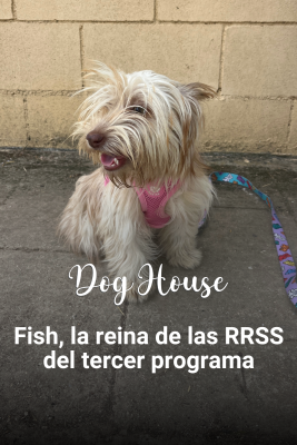 Dog House - Fish, la reina de las RRSS del tercer 'Dog House'