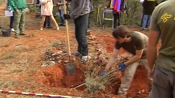 Noticias de Castilla y León - Exhumación de la fosa en Puerto del Temeroso (Calatañazor, Soria)