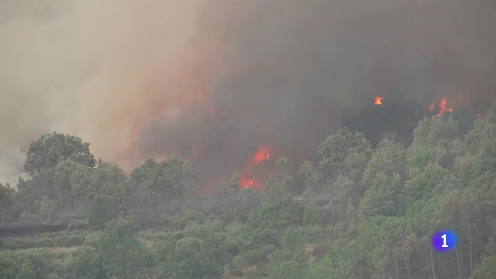 Castilla y León en 2' - 30/07/25 | Ver