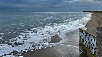 Los sistemas de detección temprana ante tsunamis: alertas y medios para prevenir el desastre