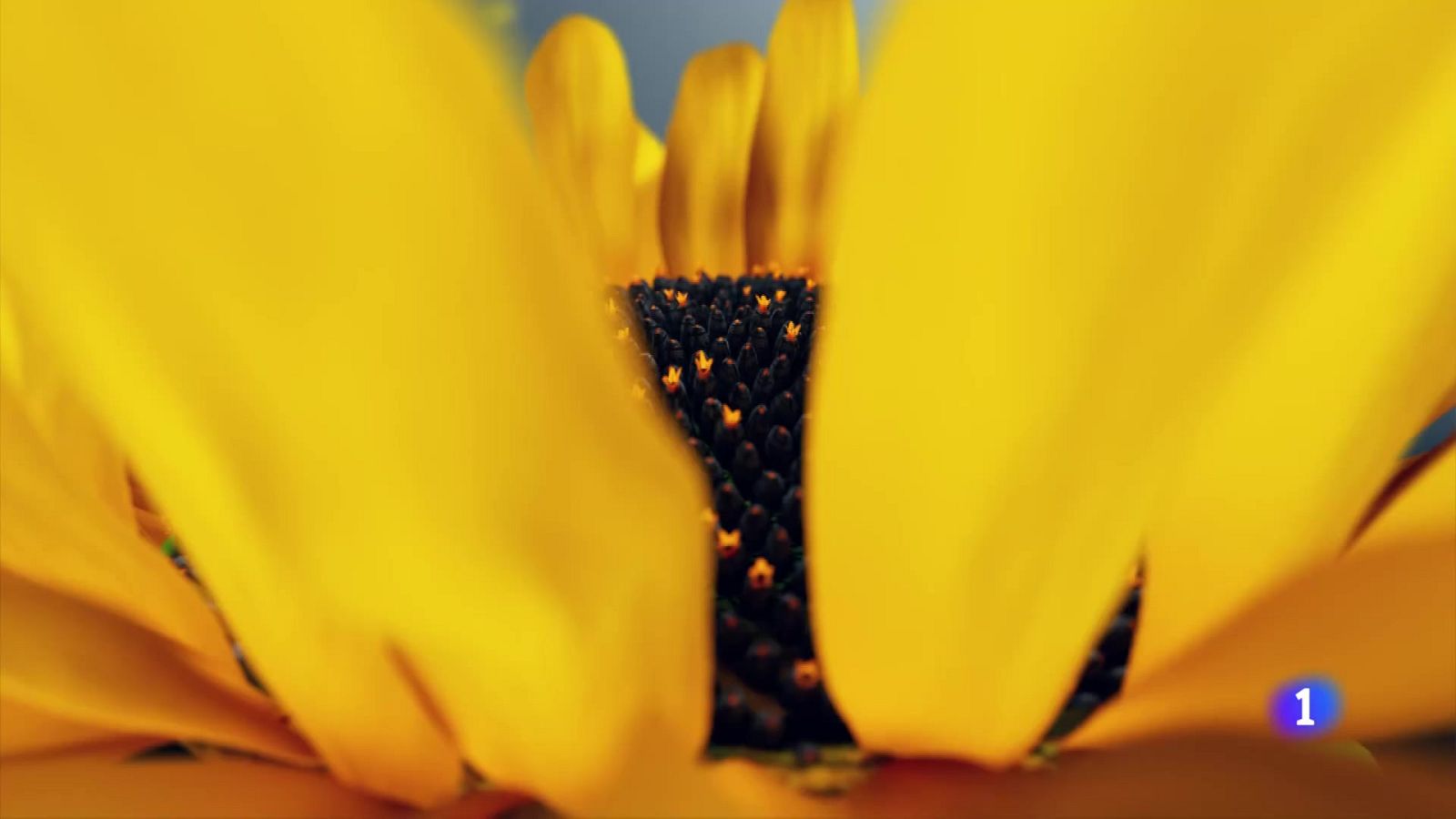 El tiempo en Galicia 30-07-2025 | Ver