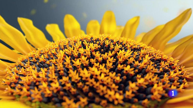 El tiempo en Andalucía - 30/07/2025 | Ver