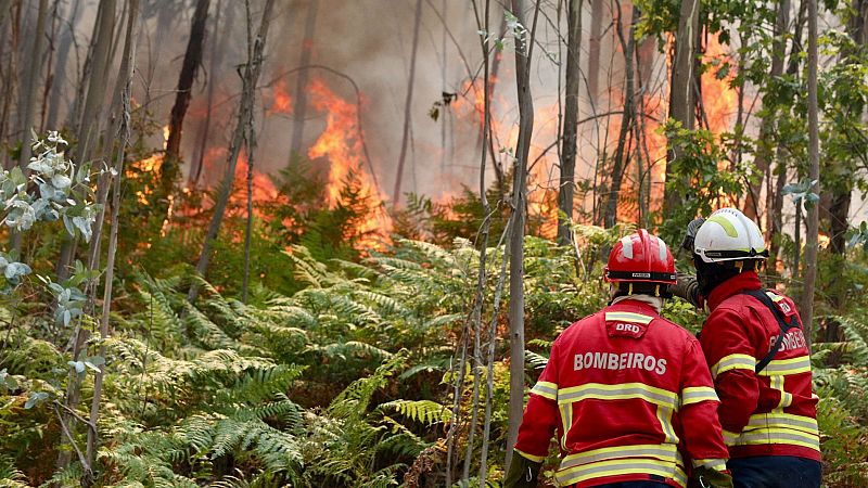 Arouca y Ponte da Barca, los focos más preocupantes en la ola de incendios de Portugal | Ver