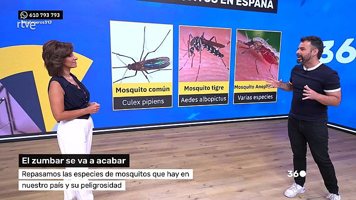 Mañaneros 360 - Programa 471