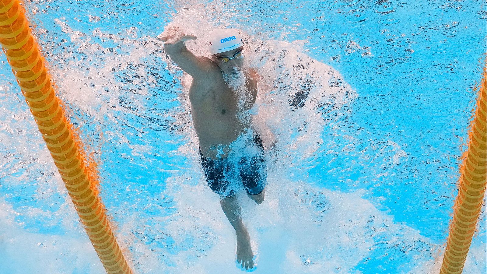 Natación - Campeonato del Mundo. Sesión vespertina - Natación | Ver