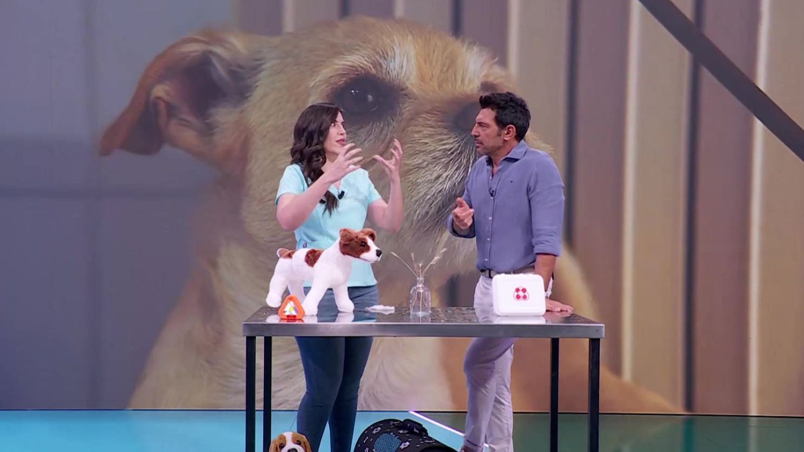 Aquí la Tierra - 31/07/25 - Aquí la Tierra | Ver