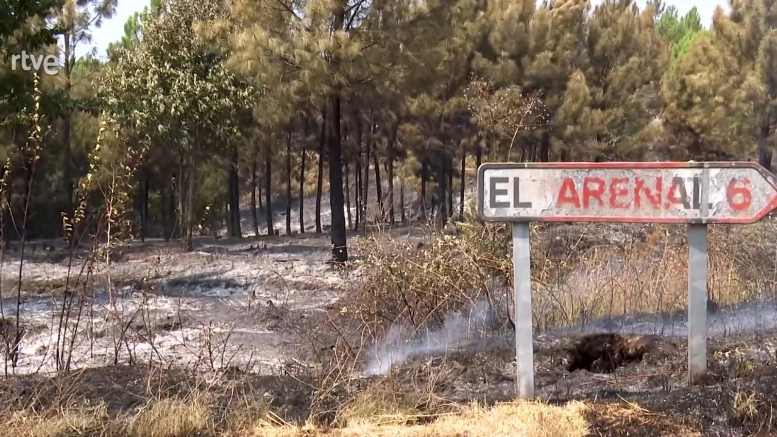 Diario 24 - 01/08/25 - Diario 24 | Ver