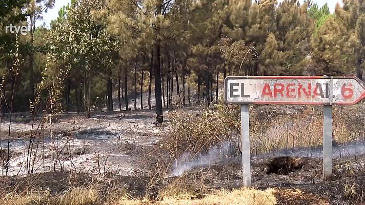 Diario 24 - Diario 24 - 01/08/25