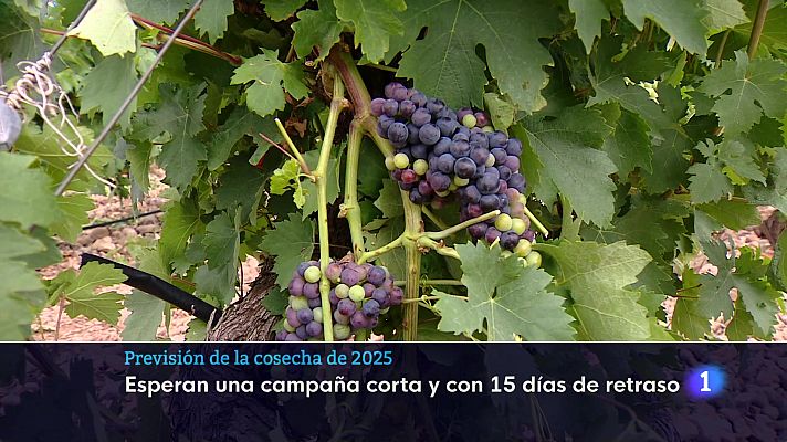 Informativo Telerioja - Telerioja en 2 - 01-08-2025 - Ver ahora