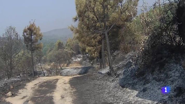 Noticias de Castilla y León - Castilla y León en 2'