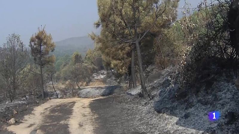 Castilla y León en 2' - 01/08/25 | Ver