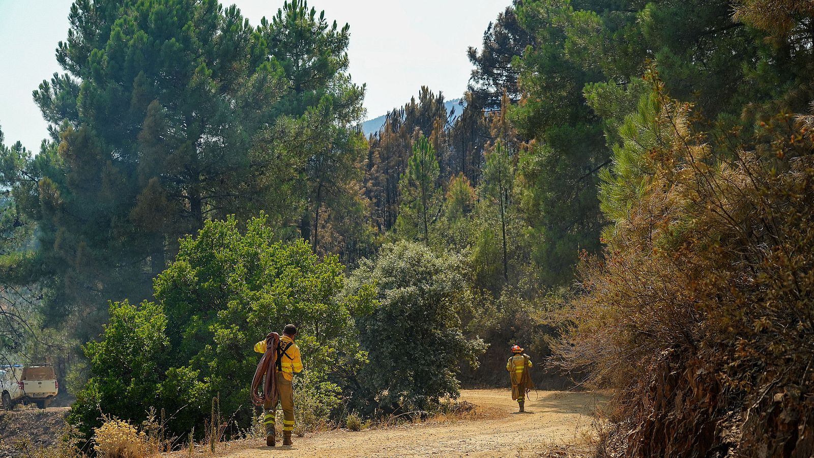 Telediario 1 en cuatro minutos - 01/08/25- RTVE.es | Ver