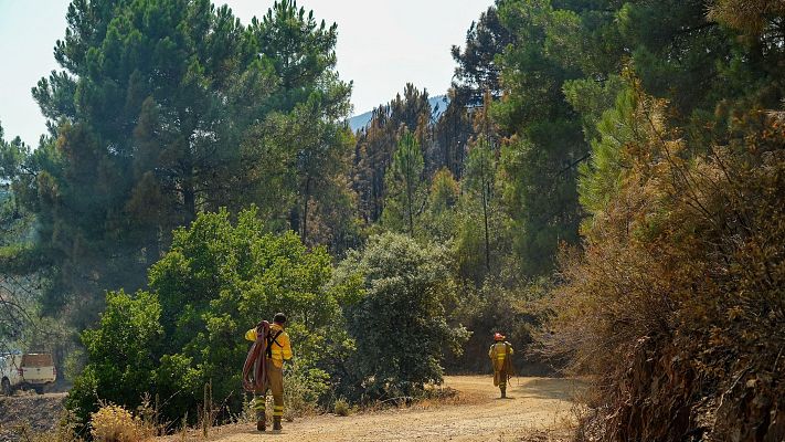 Telediario en lengua de signos - Telediario - 15 horas - 01/08/25 - Lengua de signos