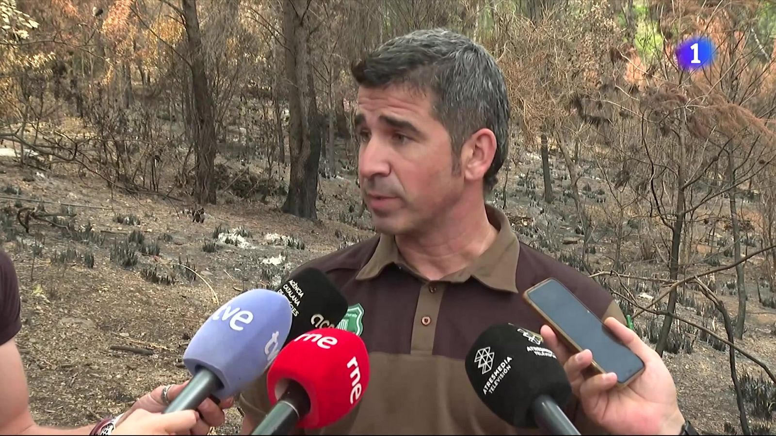 Així investiguen els Agents Rurals l'origen d'un incendi - L'Informatiu | Veure